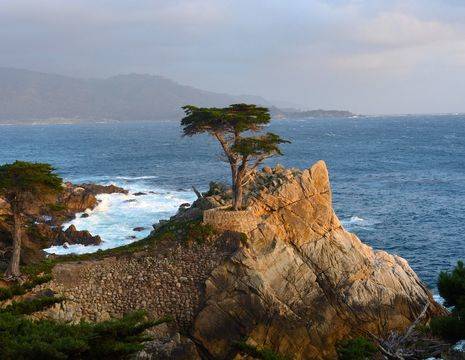Verenigde-Staten-Monterey-cipres-kliffen_1_549205