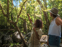 Mossman Gorge Aboriginal Tour