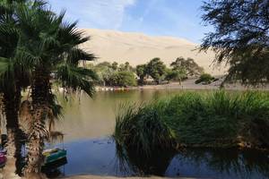 Oase-in-Huacachina