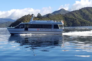 Motuara Island Cruise