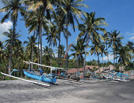 Indonesie-Lombok-Senggigi-vissersbootjes_1