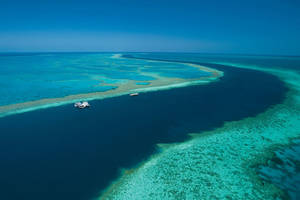 Great Barrier Reef Ponton