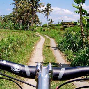 Indonesie-Bali-fietsen-Baturmeer-Ubud7_1_408725