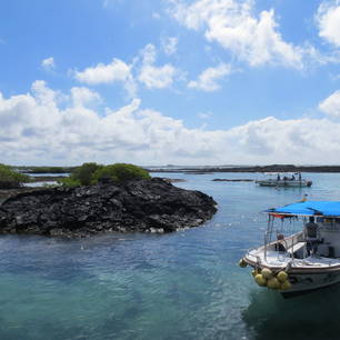 Spring van de boot in het heldere water bij Isabela, Galapagos