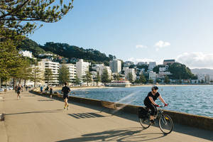 Verken Wellington per fiets