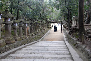 Wandeling over de oudste weg van Japan