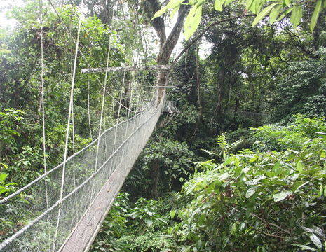 Maleisië-MaleisischBorneo-Sarawak-MuluNP-hangbrug2_1