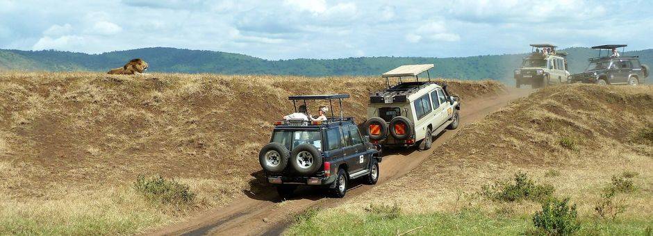 Tanzania-Ngorongoro-Krater-Jeeps