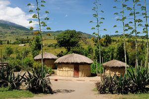 Steden en natuur Tanzania