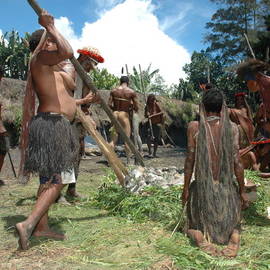 Papoea's maken vuur klaar