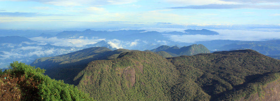 Sri Lanka-Adams Peak-x