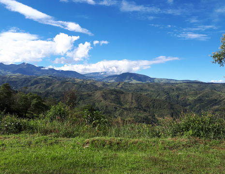 Colombia-Popayan-groene-omgeving