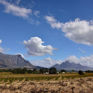 Zuid-Afrika-Franschhoek-Wijnvelden2