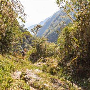 Jungle-El-Choro-Trekking-Bolivia