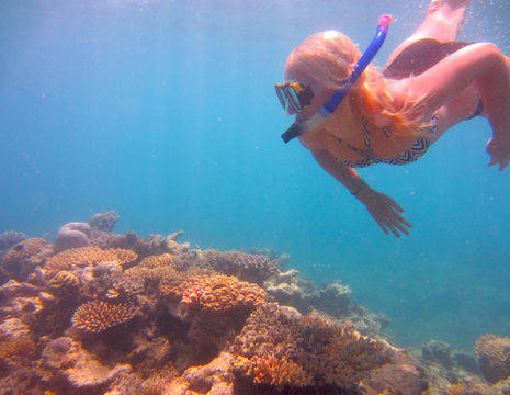 Australie-Great-Barrier-Reef-Snorkelen-Lisanne(8)