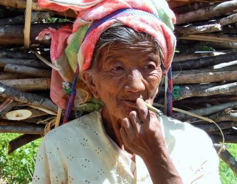 Myanmar-Inle Lake-vrouw met takken(8)