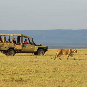 Kenia-Masai-Mara-Game-Drive