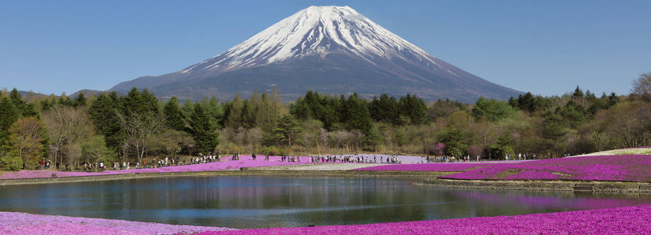 Mount_Fuji_met_paarse_bloemenzee_1_634111
