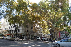 Citytour Mendoza