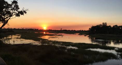 De zonsondergang in Okavango Delta