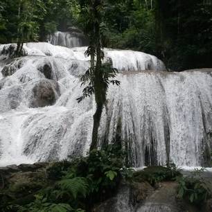 Sulawesi-Posomeer-watervallen(8)