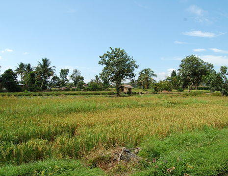 Sumatra-Brastagi-landschap