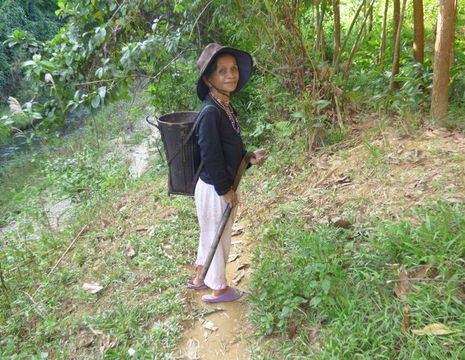 Lokale vrouw in Bho Hoong