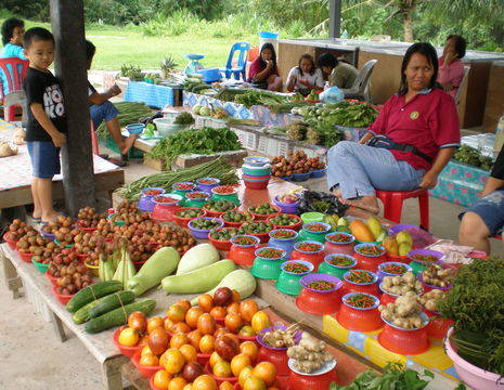borneo-sibu-marktje
