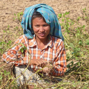 Myanmar-Bagan-vrouw in veld(8)