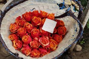 De mooiste rozen van Ecuador