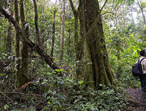Kerinci Seblat National Park: Trekkings
