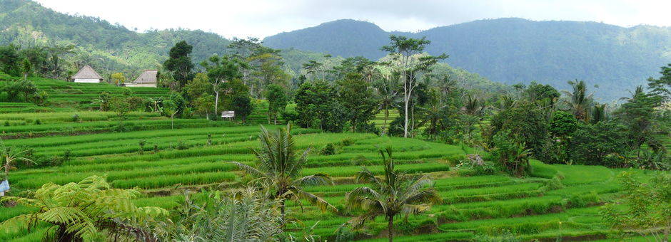 Indonesie-Bali-Sidemen-landschap3
