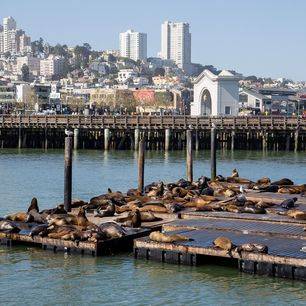 Amerika-San-Francisco-Fishermans-Wharf
