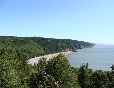 Canada-Fundy-National-Park-6