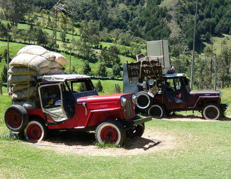Colombia-Valle-de-Cocora-willy_1_484366
