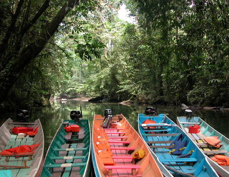 Maleisië-MaleisischBorneo-Sarawak-MuluNP-gekleurde bootjes(8)