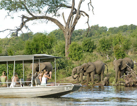 U maakt een spectaculaire bootcruise en spot olifanten, Chobe Nationaal Park, Namibie