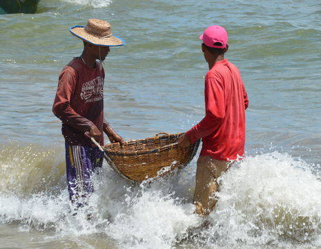 Sri Lanka-Negombo-vissers6