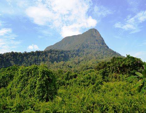 Sarawak-Damaibeach-jungle met bergtop Mount Santubong