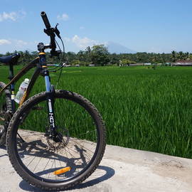 Fietsen door de rijstvelden van Bali