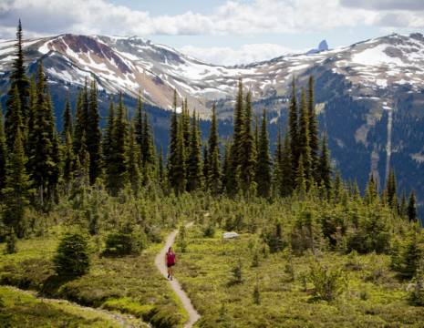Canada-Whistler-Natuur