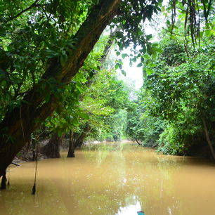 Menunggul-rivier-Sukau