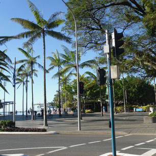 Australie-Cairns-palmbomen
