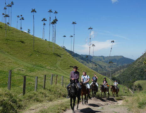 Colombia-Valle-de-Cocora-paardrijden1_1_484347