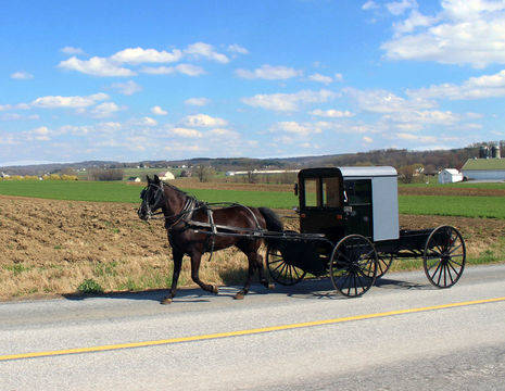 Amerika-Lancaster-Amish-Paard-en-Wagen-1