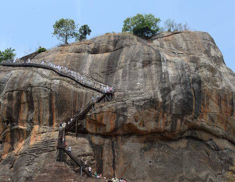 SriLanka-Sigiriya-Leeuwenrots