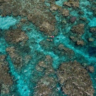 Australie-Great-barrier-reef-snorkelen-5
