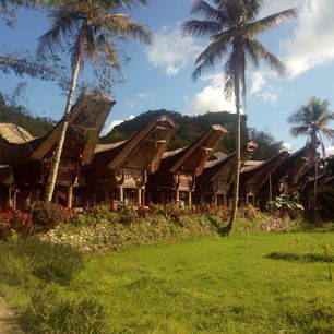 Sulawesi-Torajaland-Tongkonan