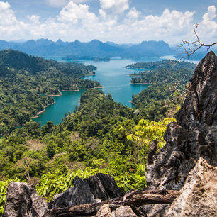 Thailand-Khao-Sok-jungle1