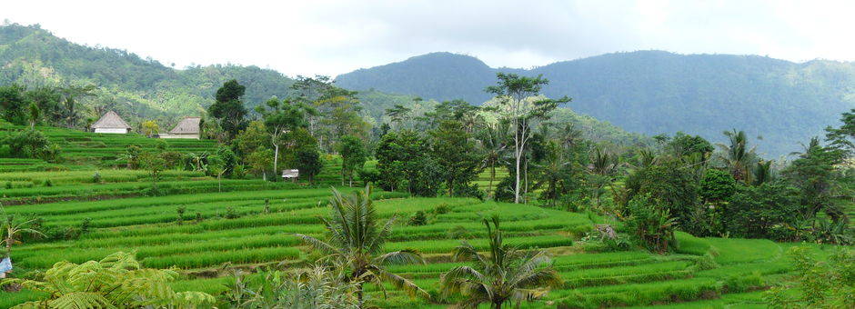 Indonesie-Bali-Sidemen-landschap3(13)